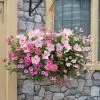 Roots Plants Bridal Bouquet' | Instant Designer Hanging Basket All Annual Bedding 1 Roots Plants Bridal Bouquet' | Instant Designer Hanging Basket All Annual Bedding