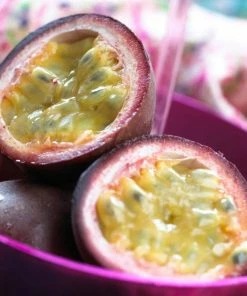 Roots Plants Passion Fruit Plant | Passiflora Edulis