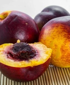 Roots Plants Lord Napier Patio Nectarine Tree