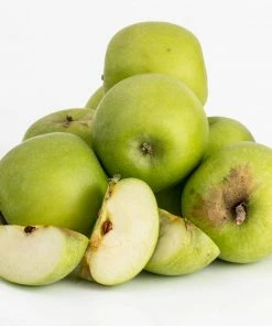 Roots Plants Bramley's Seedling Apple Tree