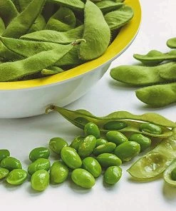 Roots Plants 10 Organic Edamame Bean Plants Peas & Beans