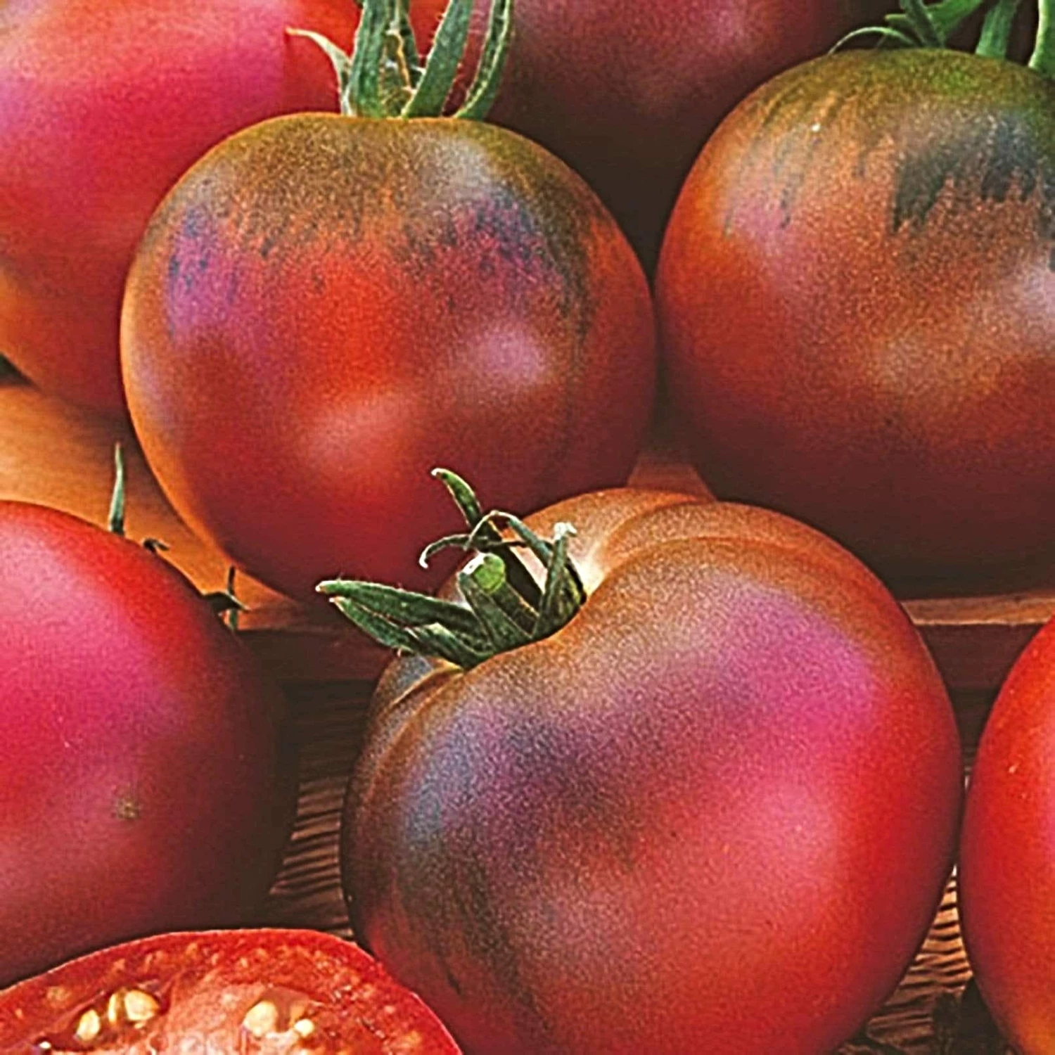 Roots Plants Salad Plants 15 Organic Colourful Tomato Plants 6 Roots Plants Salad Plants 15 Organic Colourful Tomato Plants